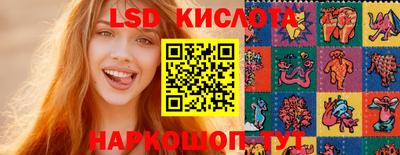 дмт Краснодар