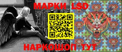 mdpv Краснознаменск