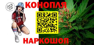 mdpv Краснознаменск