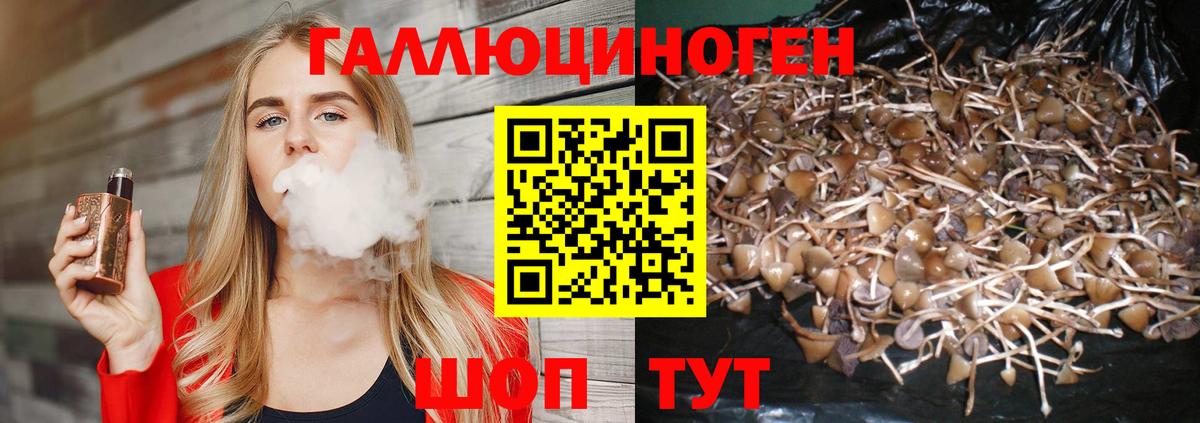 Галлюциногенные грибы Psilocybine cubensis  Галлюциногенные грибы мицелий  Вход с VPN  Ковров 